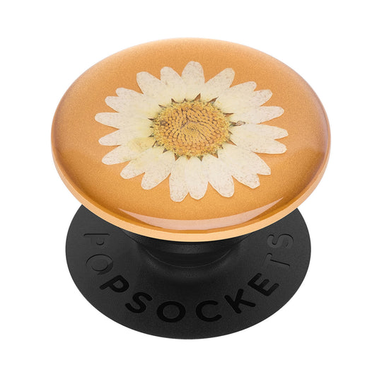 POPSOCKETS Pressed Flower White Daisy