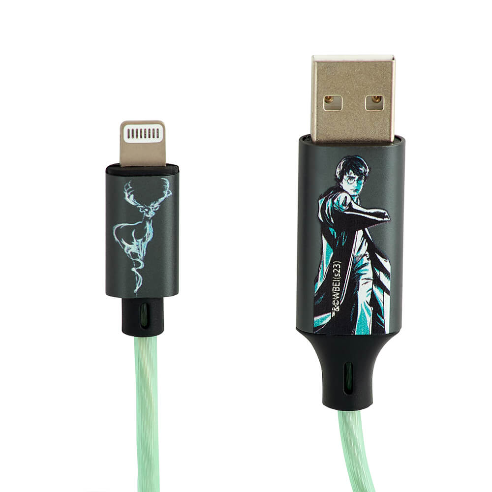 HARRY POTTER USB A to Lightning