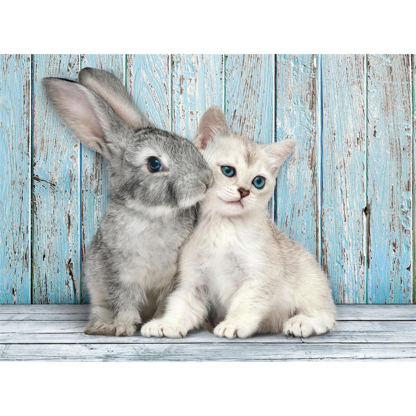 CLEMENTONI CB HQC Cat and
