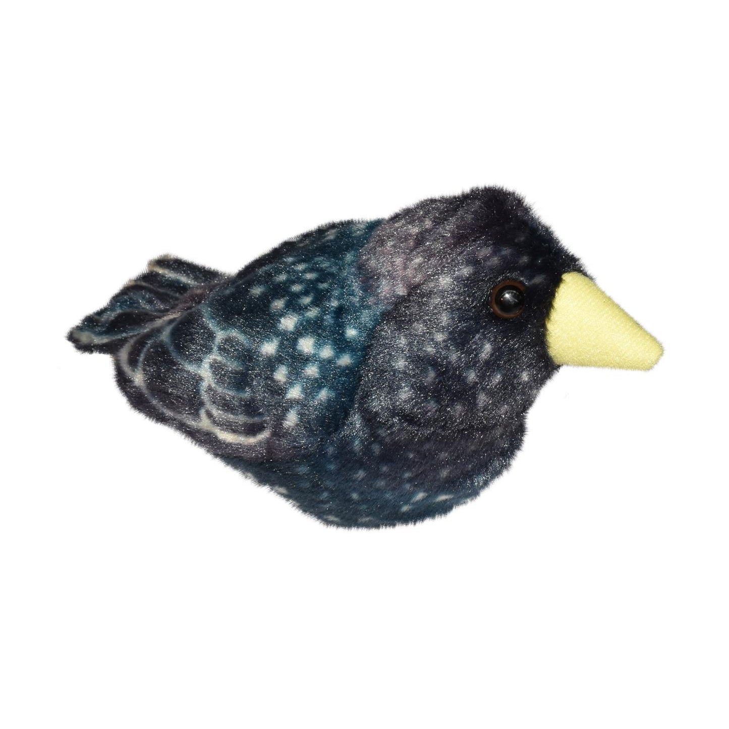 wild-republic-wild-r-bird-with-sound Starling