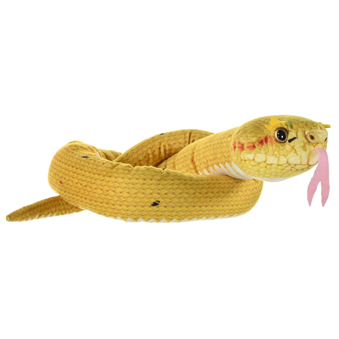 WILD REPUBLIC WILD R Snakes Eye Lash Viper