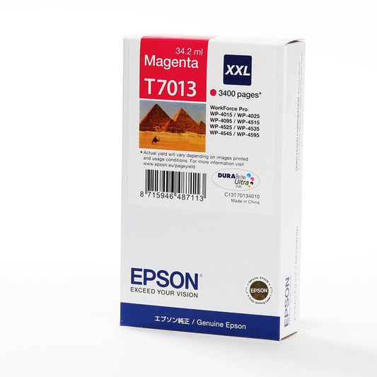 EPSON EPSON Ink C13T70134010