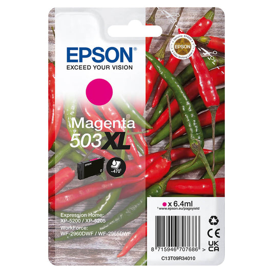 EPSON EPSON Ink C13T09R34010