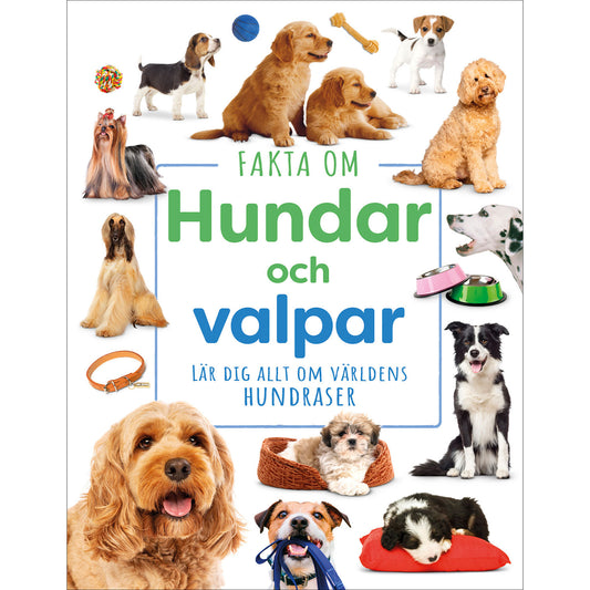 LIND & CO Fakta om hundar och valpar :