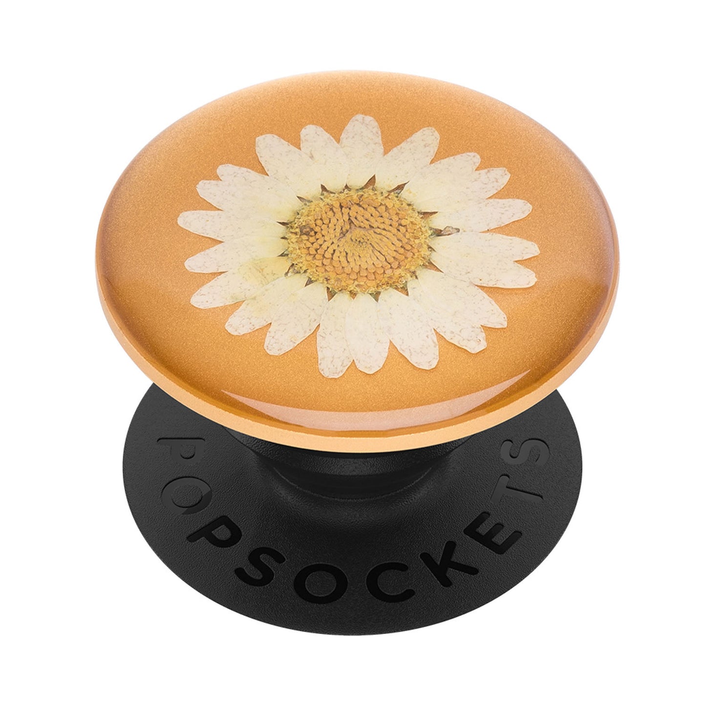 POPSOCKETS Pressed Flower White Daisy