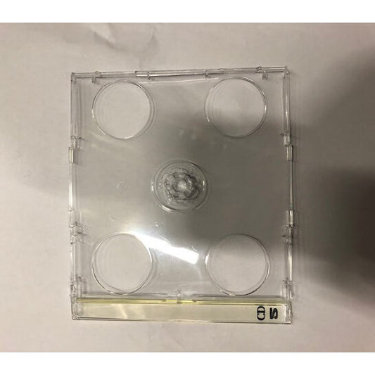 SATEK CD-Tray För 2 CD Transparent