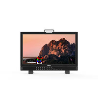 SWIT BM-H245 Monitor