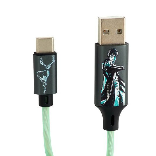 HARRY POTTER USB A to C