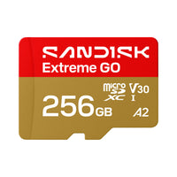 SANDISK SANDISK MicroSD Extreme GO 256GB