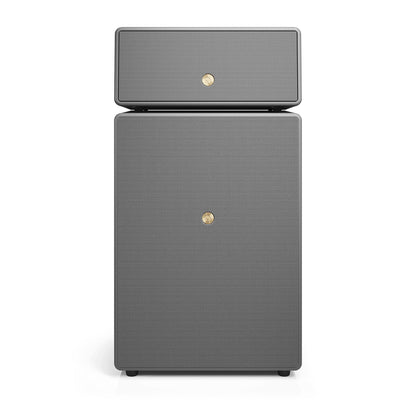 audio-pro-audio-pro-speaker-drumfire-ii Multiroom Grey