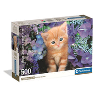 CLEMENTONI CB HQC Ginger Cat