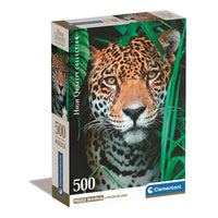CLEMENTONI CB HQC Jaguar in