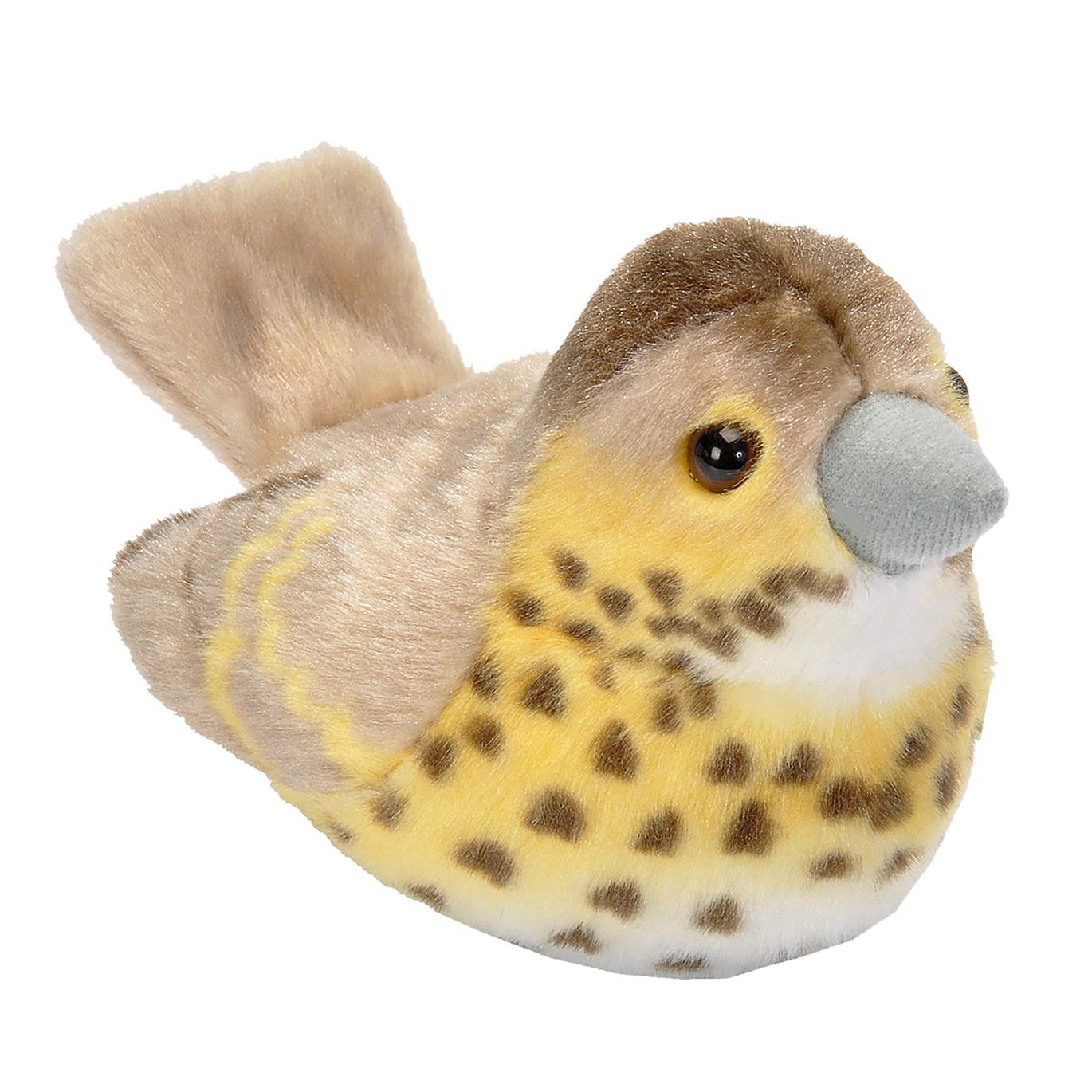 wild-republic-wild-r-bird-with-sound Song Thrush