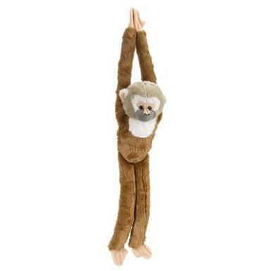 wild-republic-wild-r-hanging Squirrel Monkey