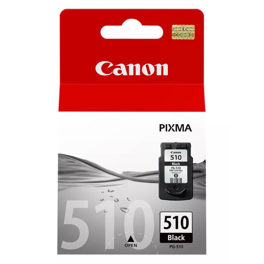 CANON CANON Ink 2970B001