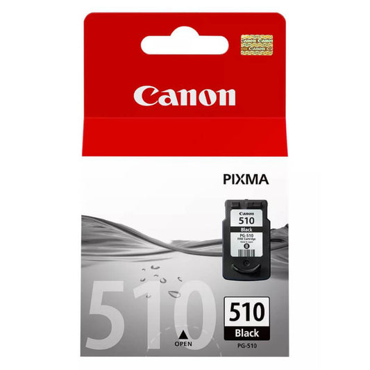 CANON CANON Ink 2970B001