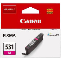 CANON CANON Ink 6120C001