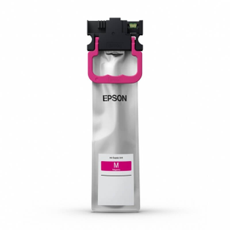 EPSON EPSON Ink C13T01C300