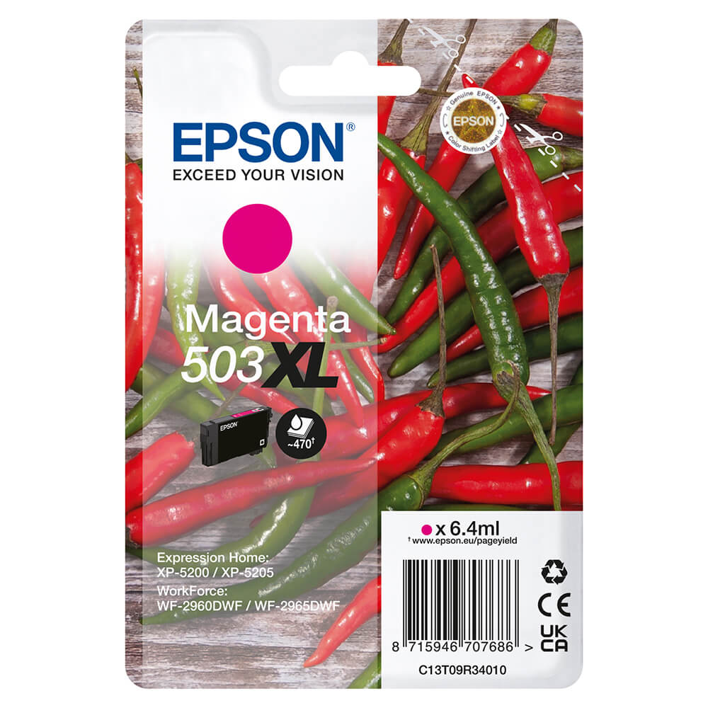 EPSON EPSON Ink C13T09R34010