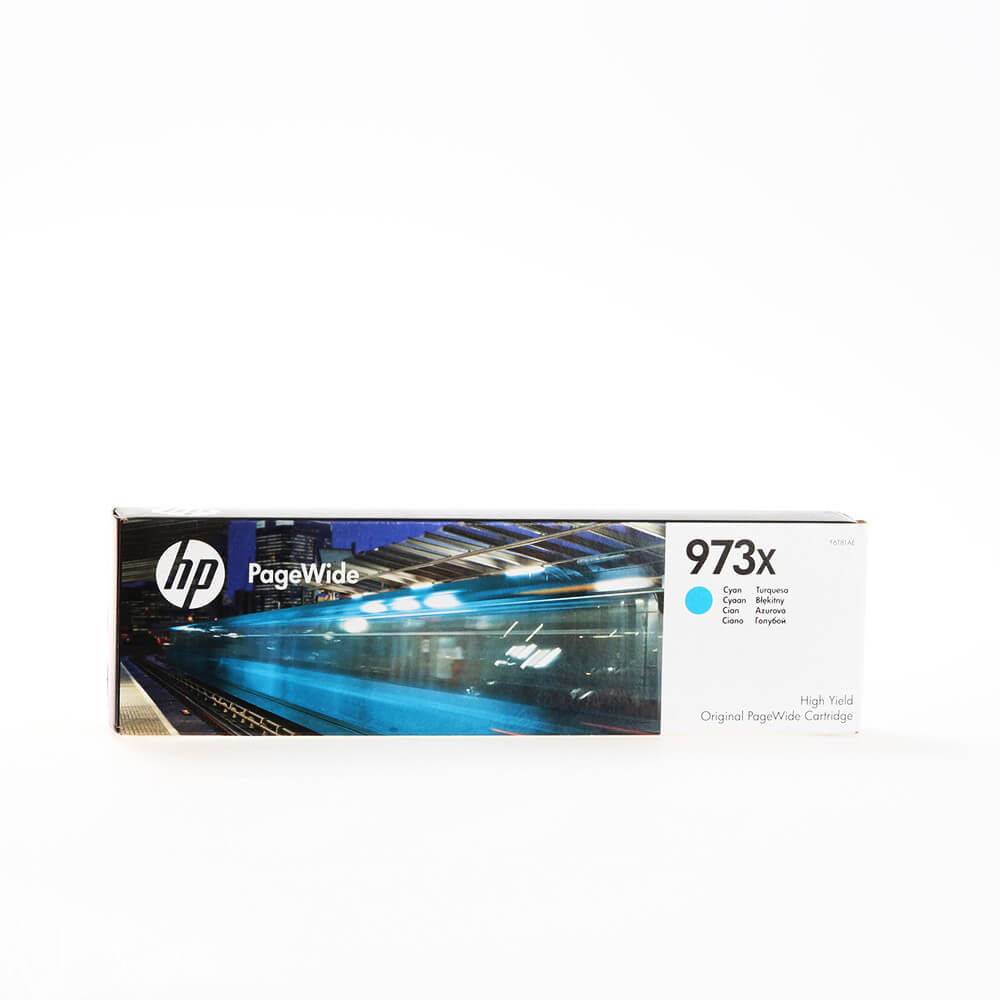 HP HP Ink F6T81AE