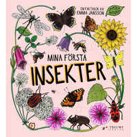 UPPTÄCK NATUREN Mina första insekter