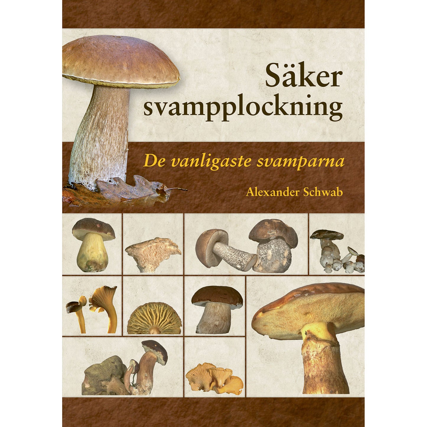 STEVALI Säker svampplockning: de