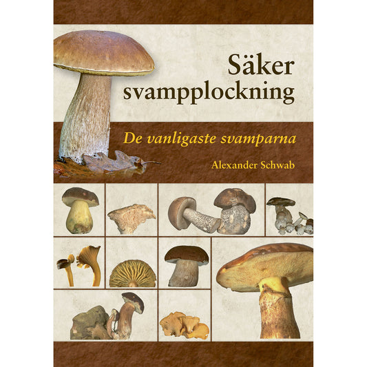 STEVALI Säker svampplockning: de