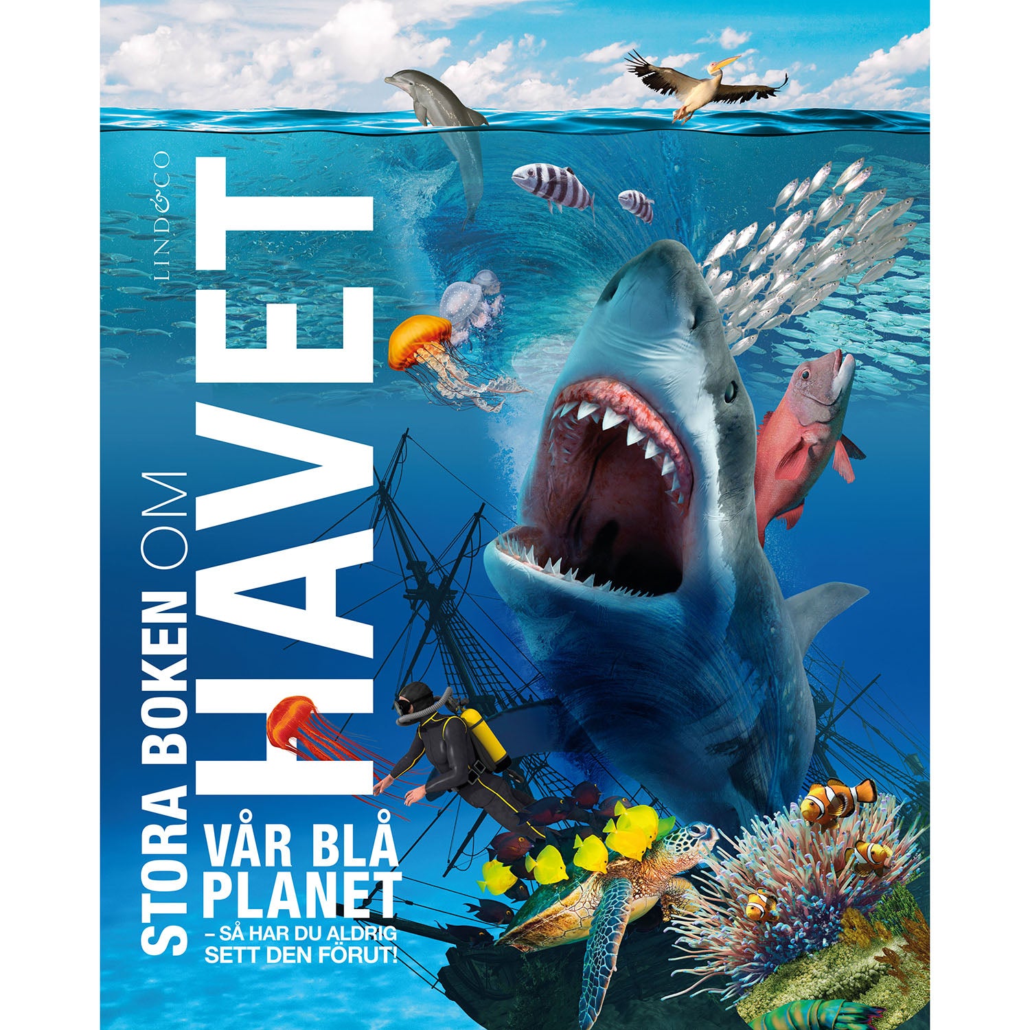 LIND & CO Stora boken om havet