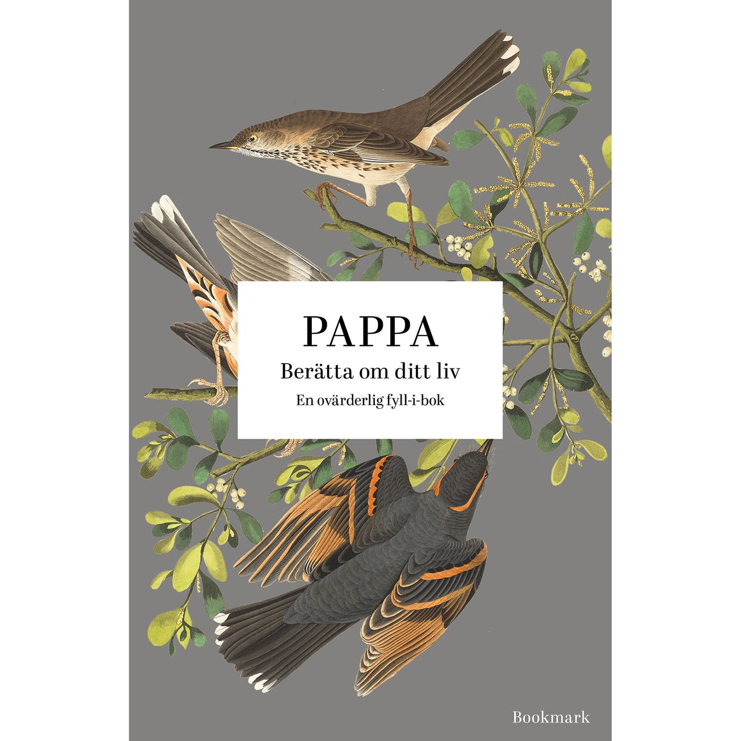 BOOKMARK FÖRLAG Pappa: Berätta om ditt liv