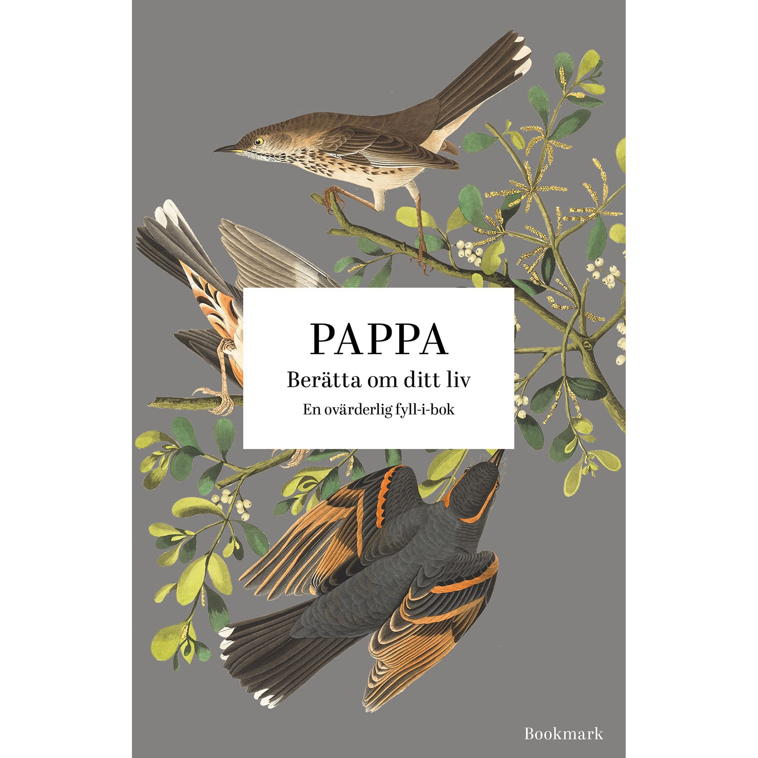 BOOKMARK FÖRLAG Pappa: Berätta om ditt liv