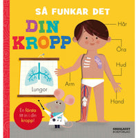 ORDALAGET BOKFÖRLAG Så funkar det: Din kropp