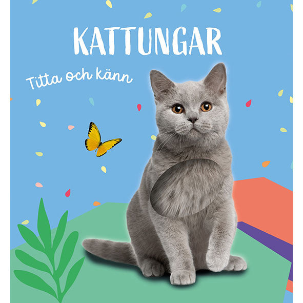 TUKAN FÖRLAG Titta och känn: Kattungar