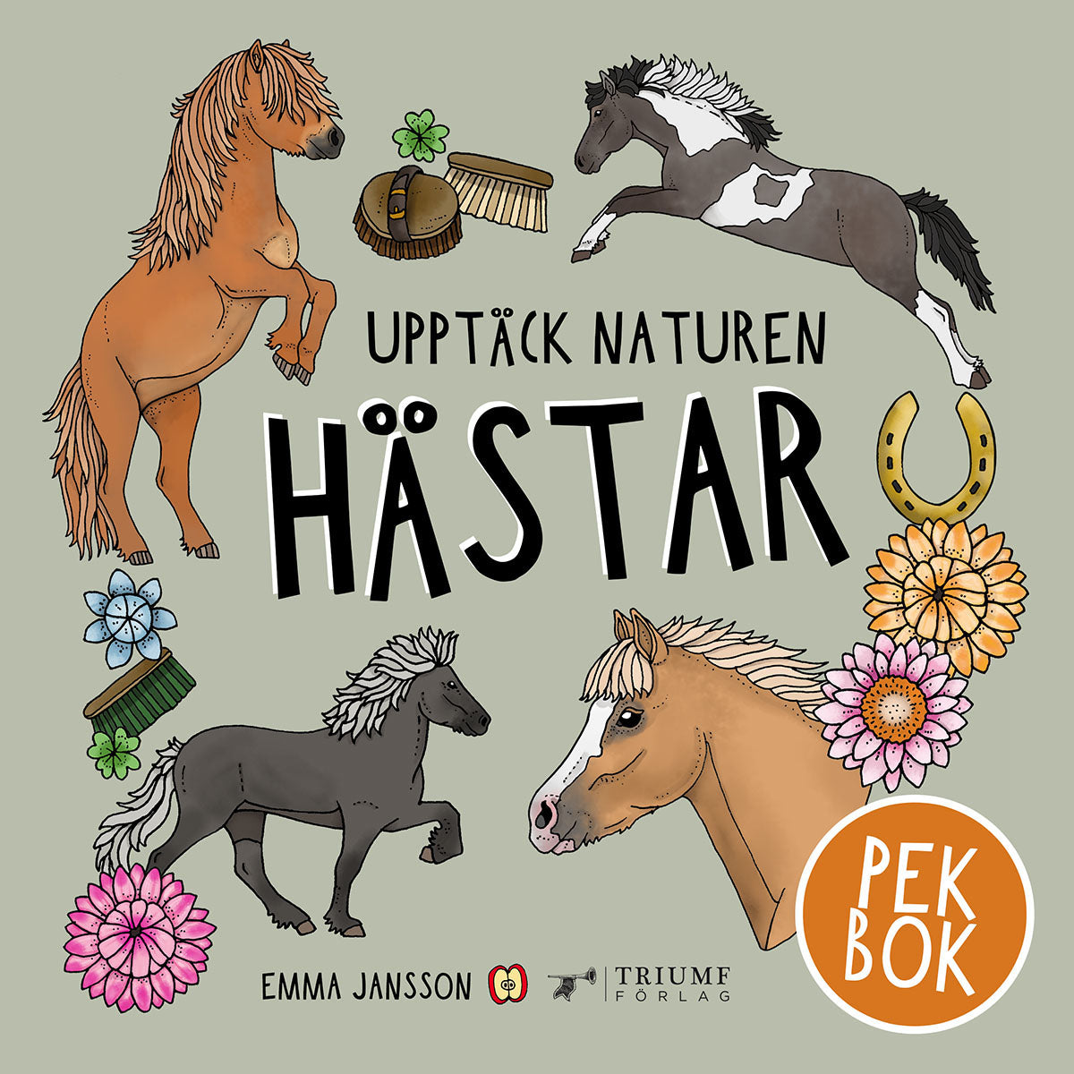 Upptäck naturen : Hästar
