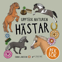 Upptäck naturen : Hästar