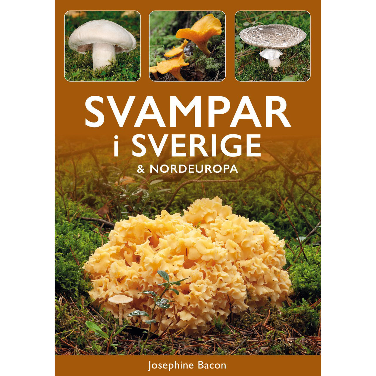TUKAN FÖRLAG Svampar i Sverige & Nordeuropa