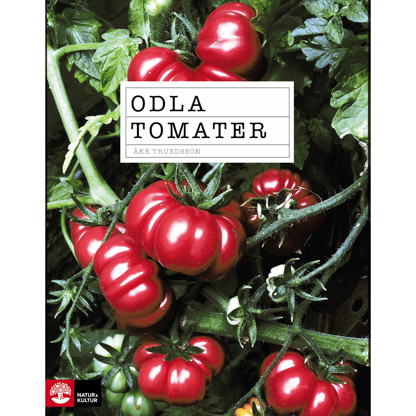 NATUR & KULTUR Odla tomater