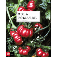 NATUR & KULTUR Odla tomater