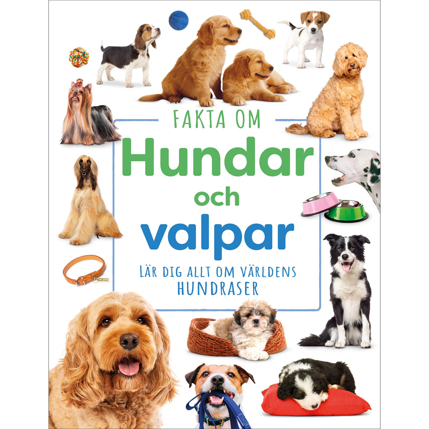 LIND & CO Fakta om hundar och valpar :
