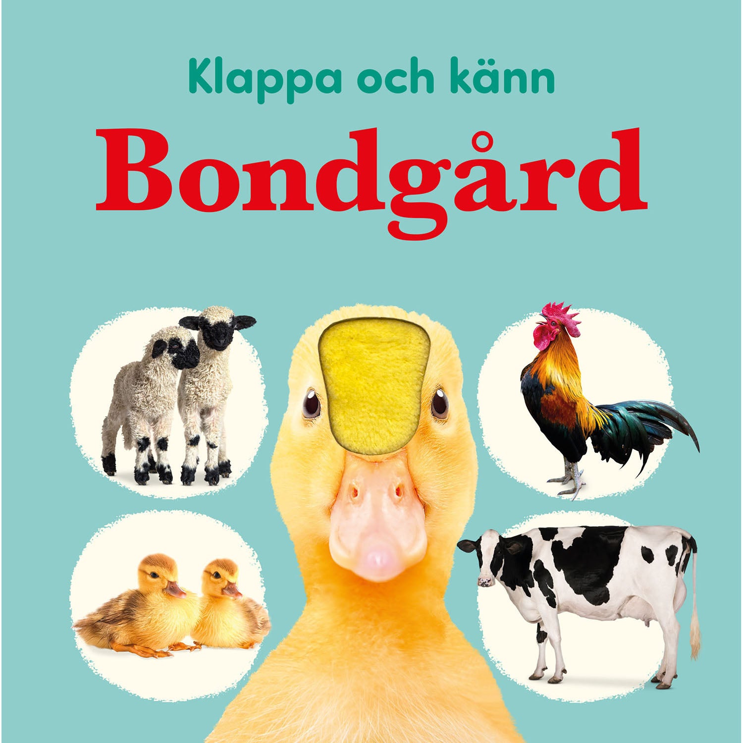 TUKAN FÖRLAG Klappa och känn : Bondgård
