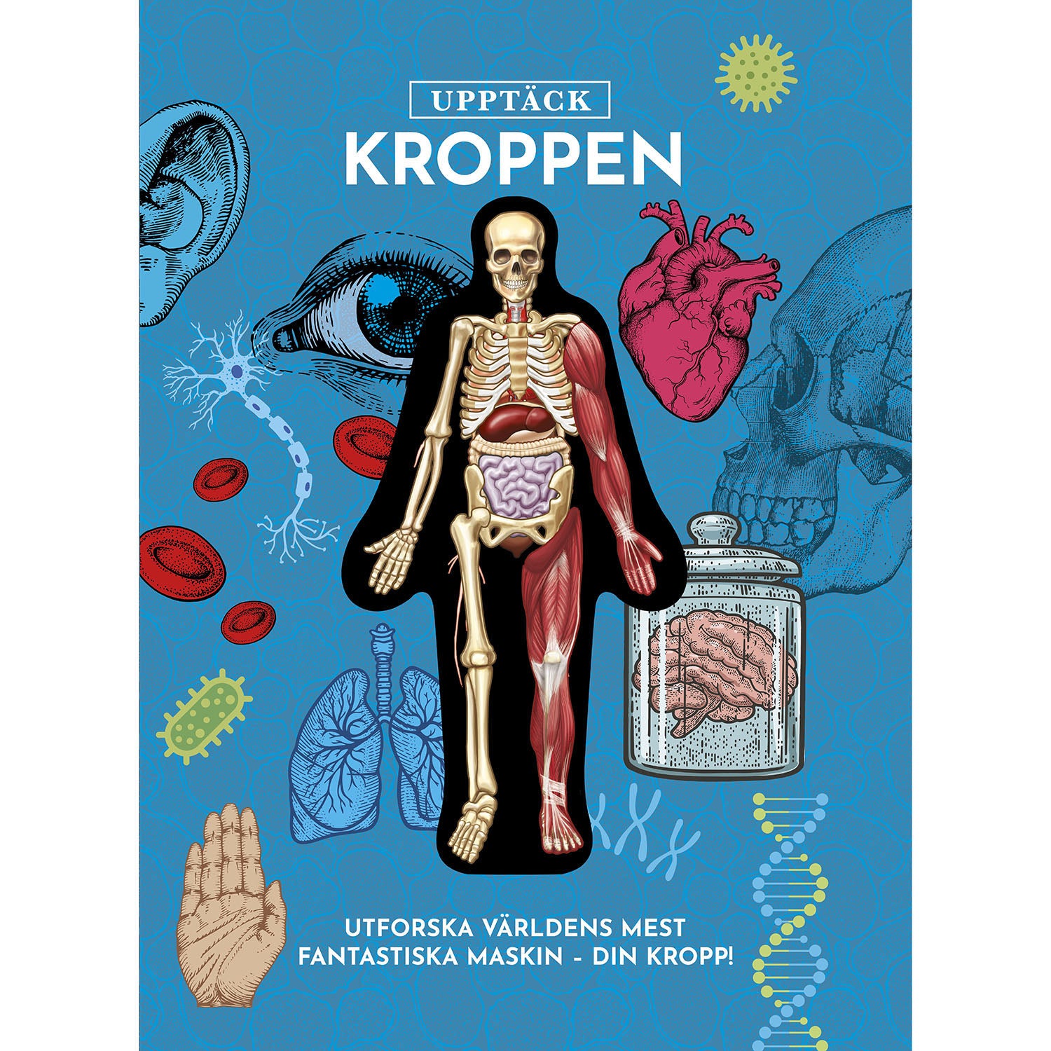 TUKAN FÖRLAG Upptäck kroppen