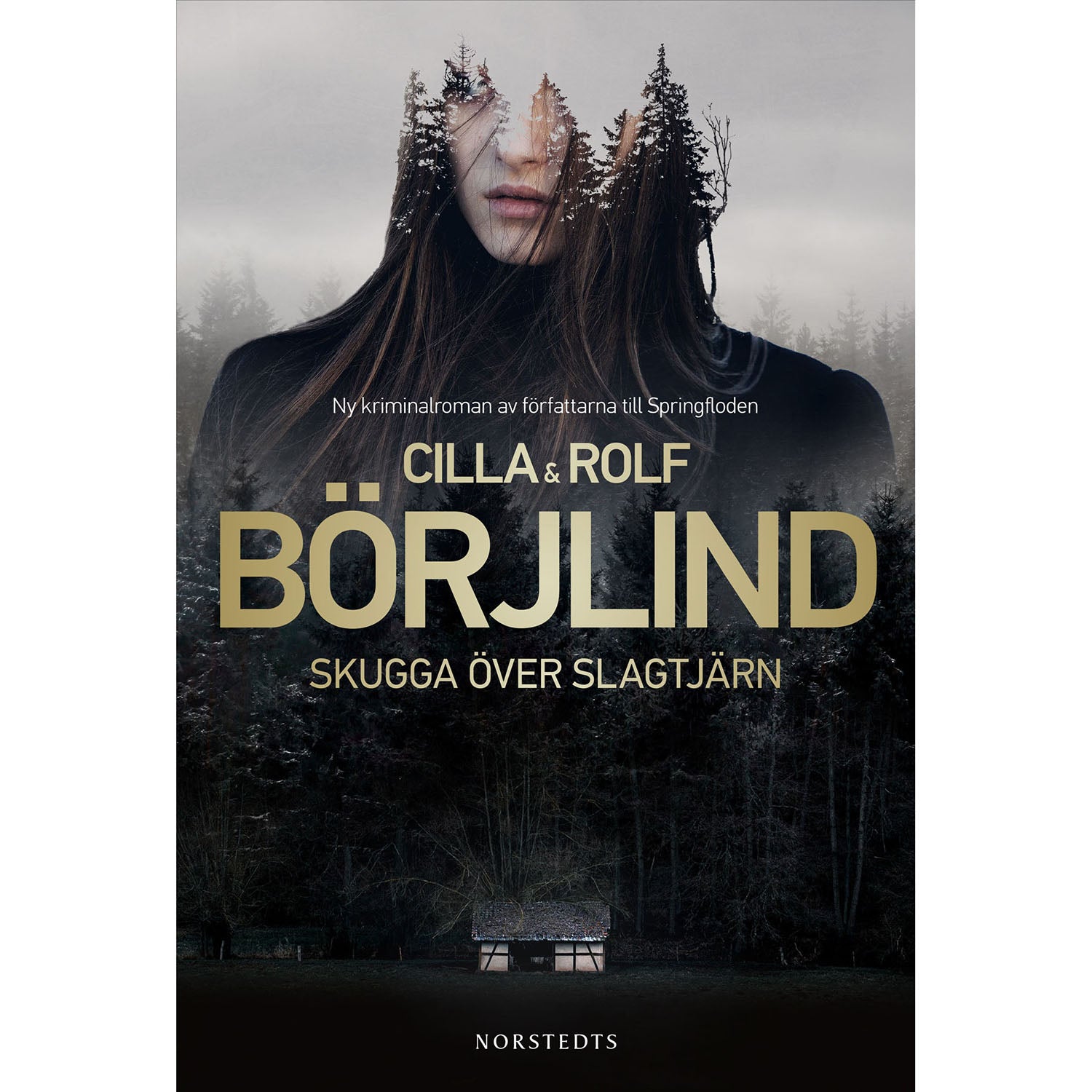 NORSTEDTS Skugga över Slagtjärn