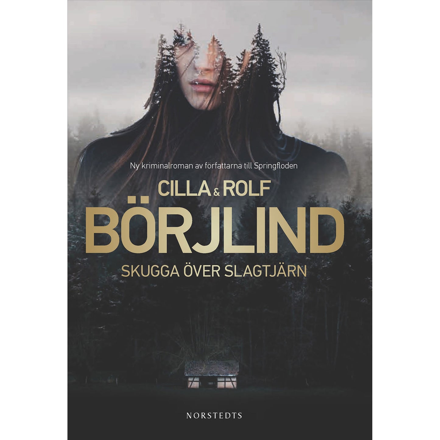 norstedts-skugga-over-slagtjarn 
