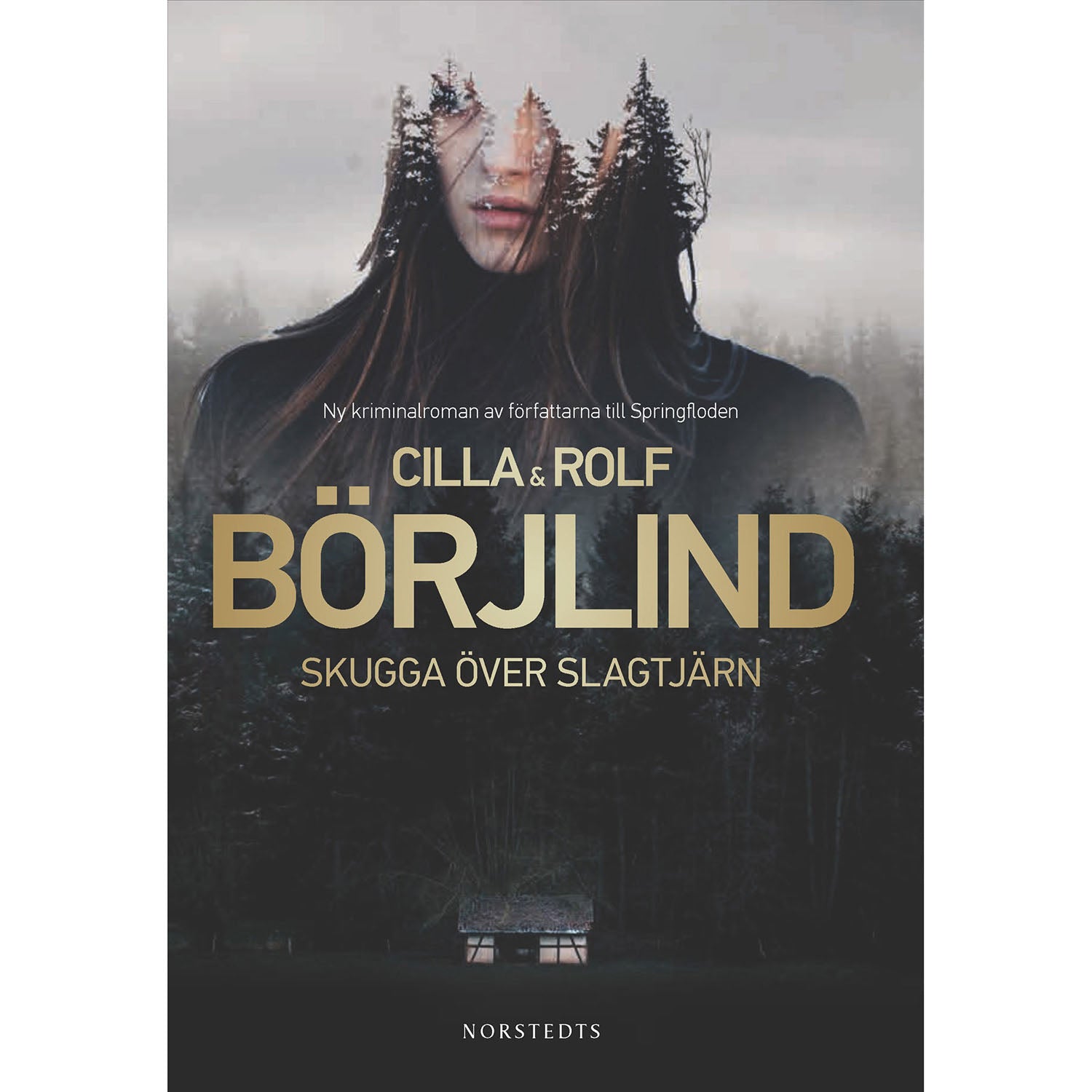 norstedts-skugga-over-slagtjarn 