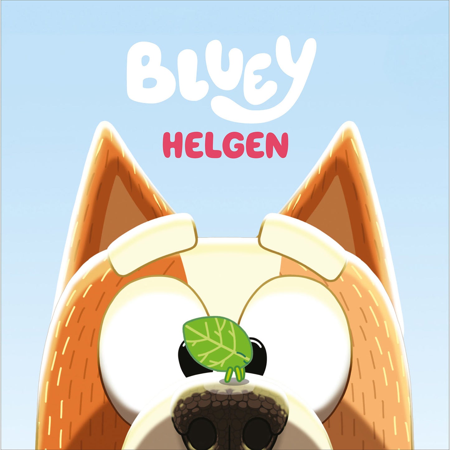 BLUEY Helgen
