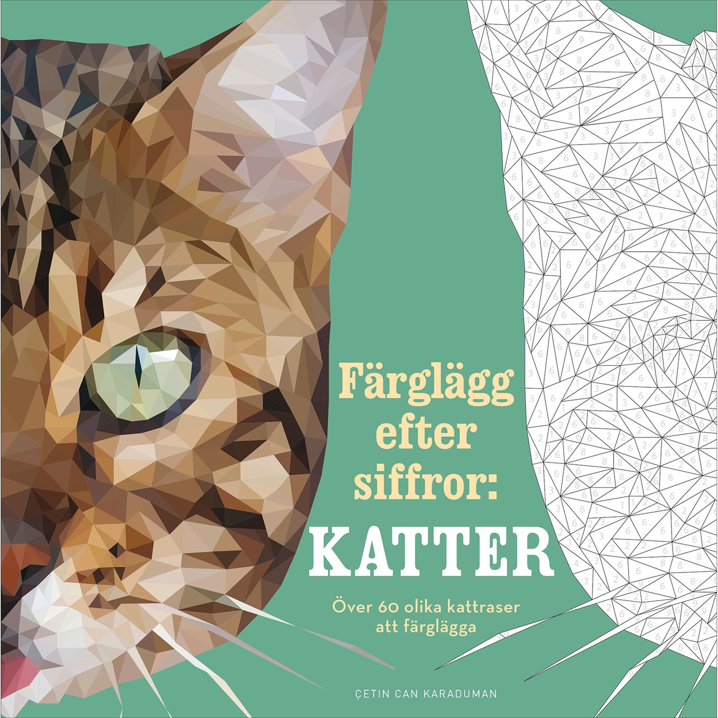 TUKAN FÖRLAG Färglägg efter siffror: Katter